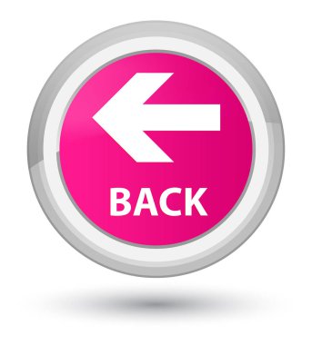 Arka Başbakan düğmenin pembe
