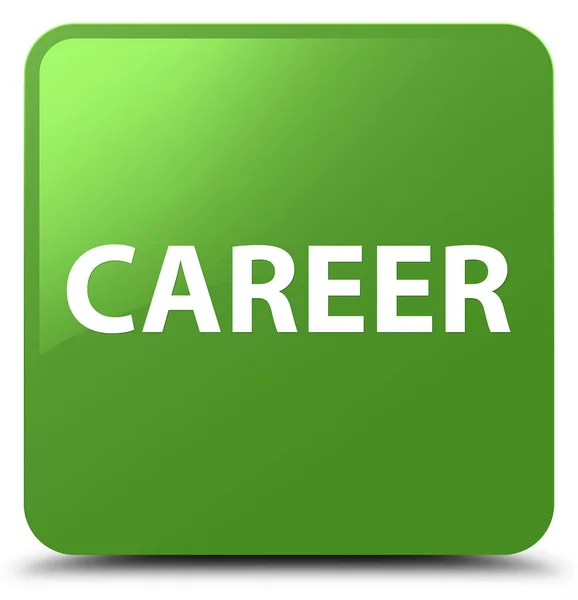 Career soft green square button — Stock Photo, Image