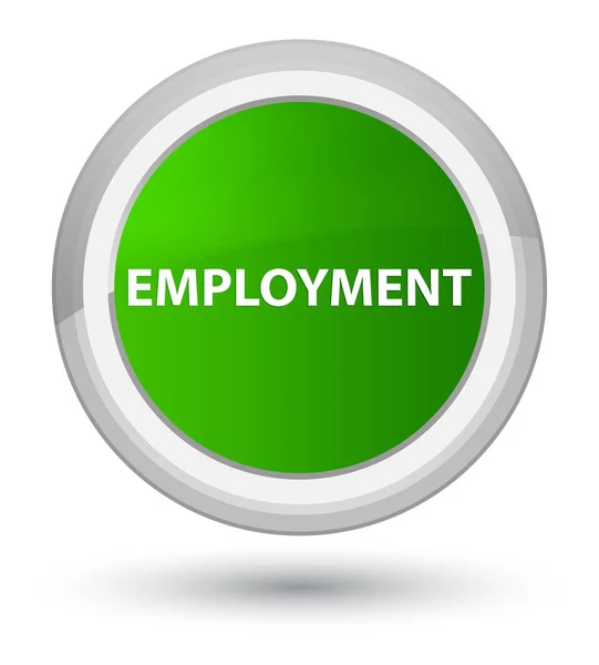Foglalkoztatási elsődleges zöld kerek gomb — Stock Fotó