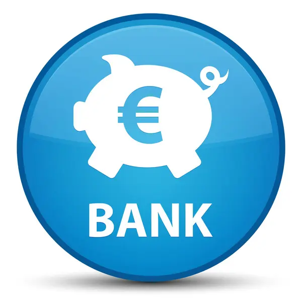 银行 (小猪盒欧元符号) 特殊青色蓝圆按钮 — 图库照片