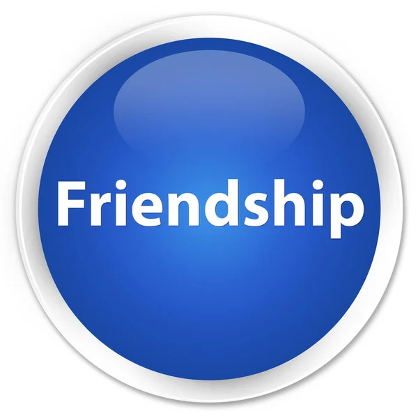 Vriendschap premie blauwe ronde knop — Stockfoto