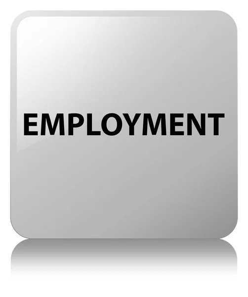 Employment white square button — Stock Photo, Image