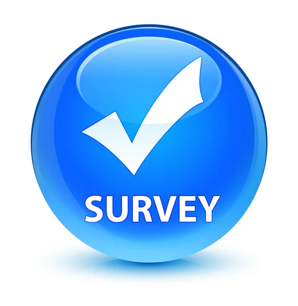 Survey (validate icon) glassy cyan blue round button — Stock Photo, Image