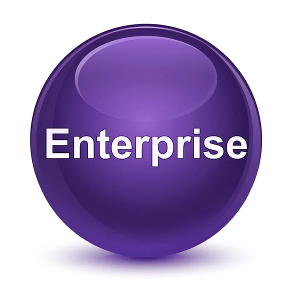 Enterprise botão redondo roxo vítreo — Fotografia de Stock