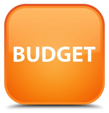 Bütçe özel turuncu kare düğme