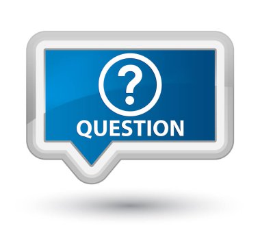 Soru Başbakan mavi bayrak düğmesini