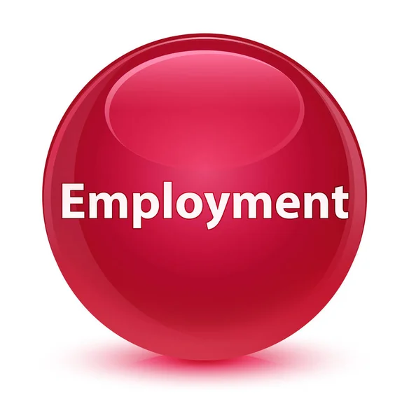 Employment glassy pink round button — Stock Photo, Image