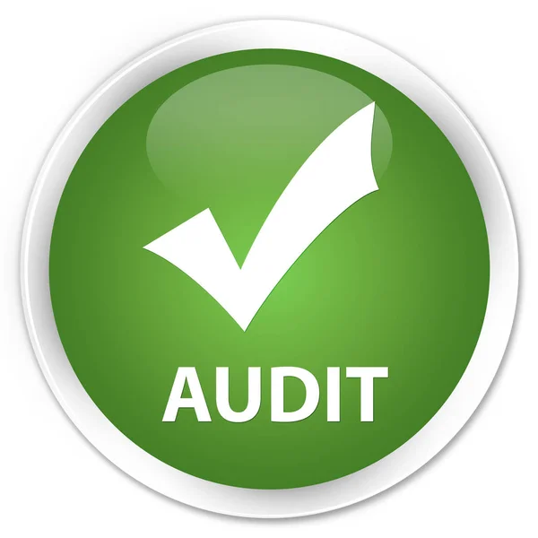 Auditoria (validar ícone) prémio verde macio botão redondo — Fotografia de Stock
