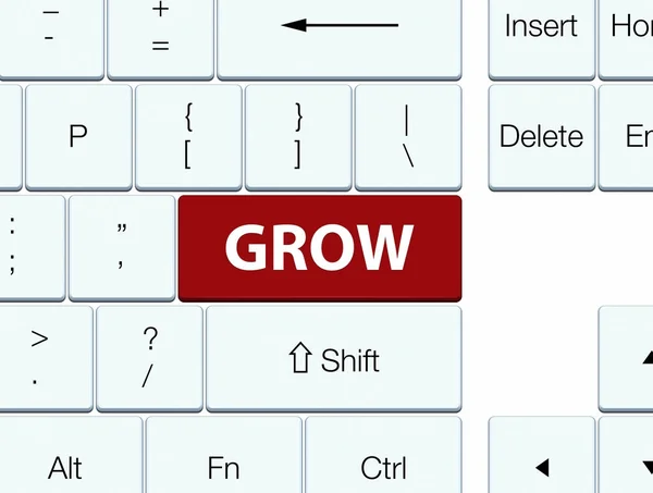 Crescer botão de teclado marrom — Fotografia de Stock