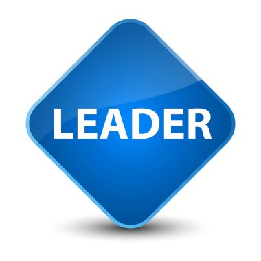 Lideri zarif mavi elmas düğmesi