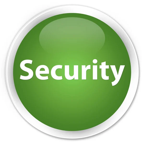 セキュリティ プレミアム ソフト グリーン丸ボタン — ストック写真
