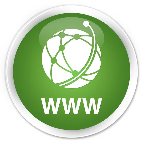 WWW (значок глобальной сети) Premium soft green round button — стоковое фото