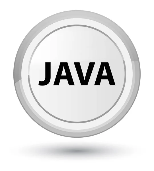 Java prime white round button — Stock Photo, Image