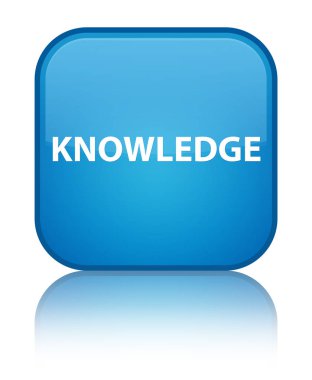 Bilgi özel camgöbeği mavi kare düğme