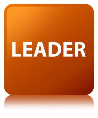 Lider kahverengi kare düğme