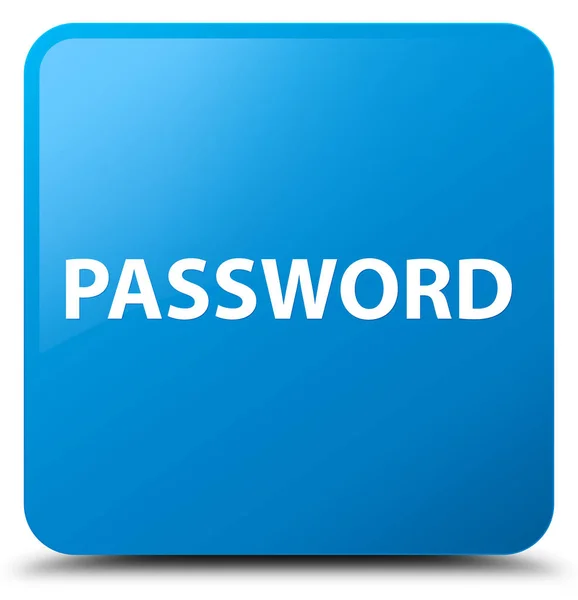 Password cyan blå firkant knap - Stock-foto