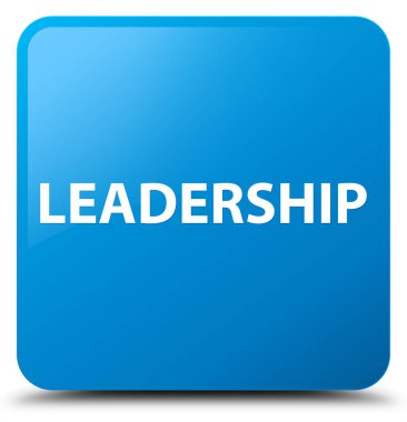 Liderlik camgöbeği mavi kare düğme