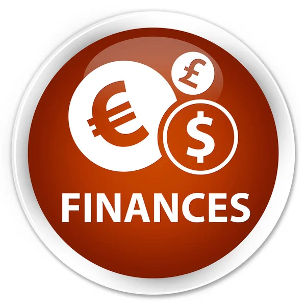 Finances (euro sign) bouton rond brun premium — Photo