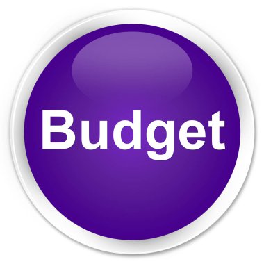 Bütçe sigorta primi mor yuvarlak düğmesi