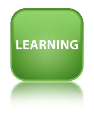 Öğrenme özel yumuşak yeşil kare düğme