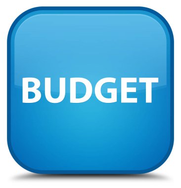 Bütçe özel camgöbeği mavi kare düğme