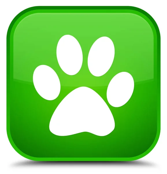 Ζώων αποτύπωμα εικονίδιο ειδική πράσινο τετράγωνο κουμπί — Φωτογραφία Αρχείου