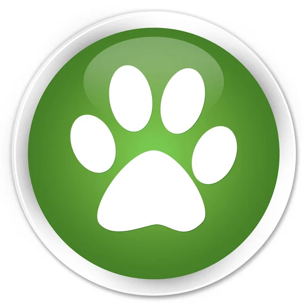 Hayvan ayak izi kutsal kişilerin resmi sigorta primi yumuşak yeşil yuvarlak düğme — Stok fotoğraf