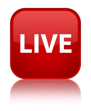 Canlı özel kırmızı kare düğme