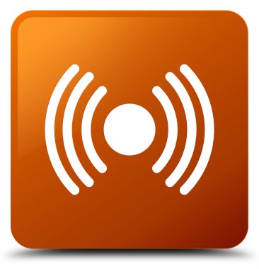 Ağ sinyali kutsal kişilerin resmi kahverengi kare düğme