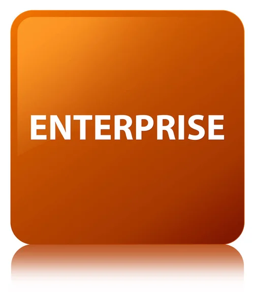 Čtvercové tlačítko Enterprise hnědá — Stock fotografie