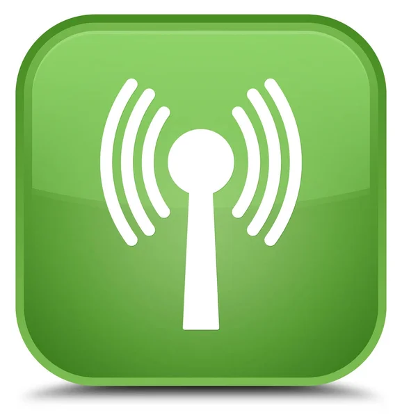 WLAN ağ kutsal kişilerin resmi özel yumuşak yeşil kare düğme — Stok fotoğraf