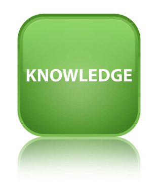 Bilgi özel yumuşak yeşil kare düğme