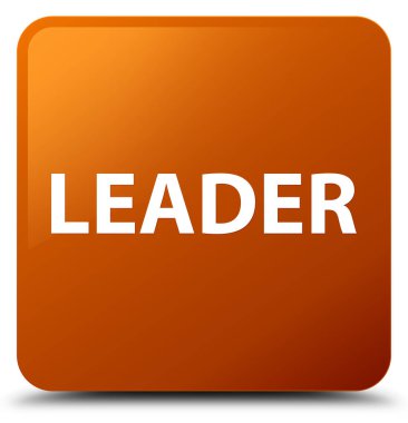 Lider kahverengi kare düğme