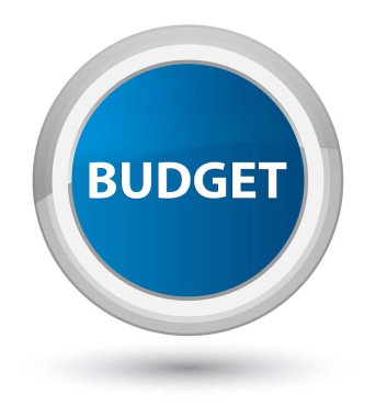 Bütçe Başbakan düğmenin mavi