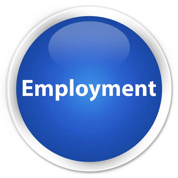 Πριμοδότηση απασχόλησης μπλε στρογγυλό κουμπί — Φωτογραφία Αρχείου