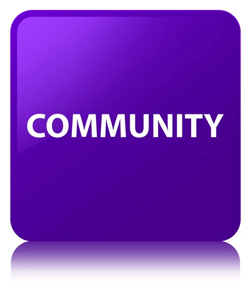 Community purple square button — Stock Photo, Image