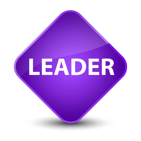 Лідер елегантна фіолетова алмазна кнопка — стокове фото