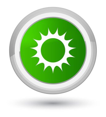 Güneş kutsal kişilerin resmi ana yeşil yuvarlak düğme