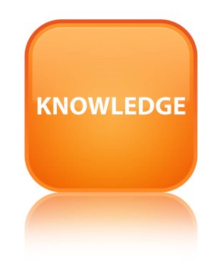 Bilgi özel turuncu kare düğme