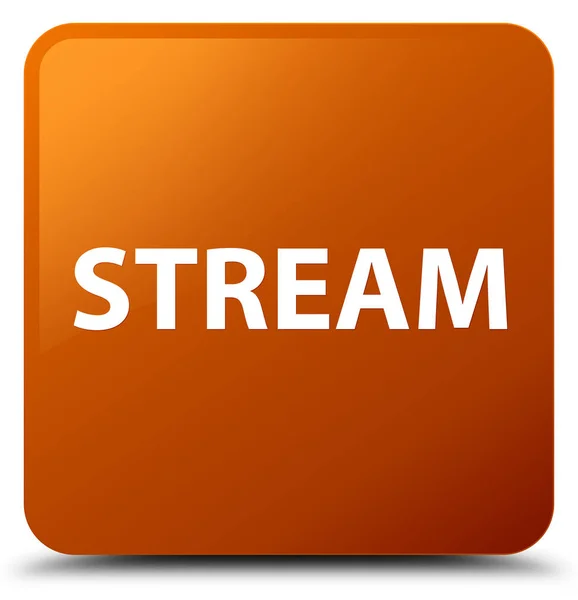 Stream bruin vierkante knop — Stockfoto