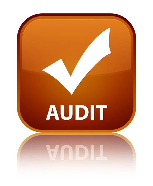 Audit (ověření ikonu) speciální hnědé čtvercové tlačítko — Stock fotografie