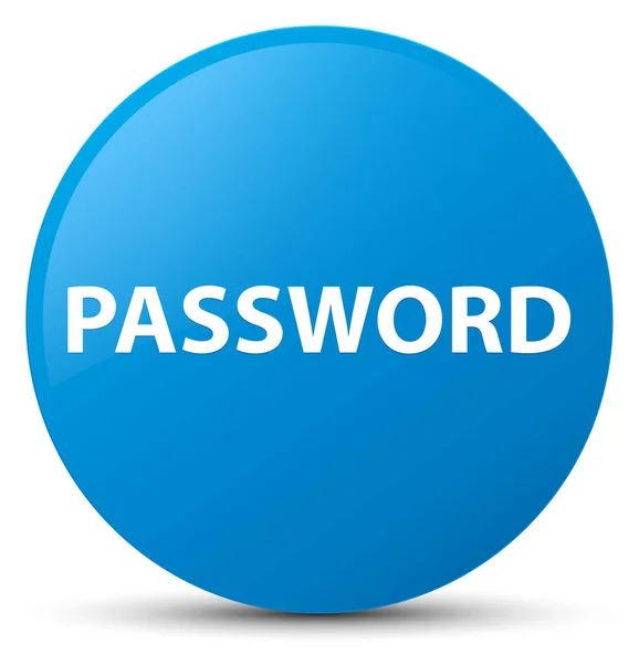 Password cyan blå rund knap - Stock-foto