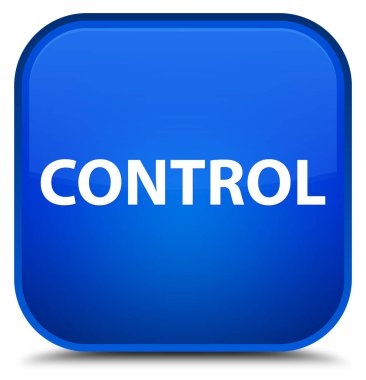 Denetim özel mavi kare düğme