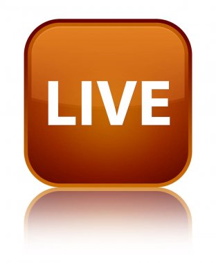 Canlı özel kahverengi kare düğme