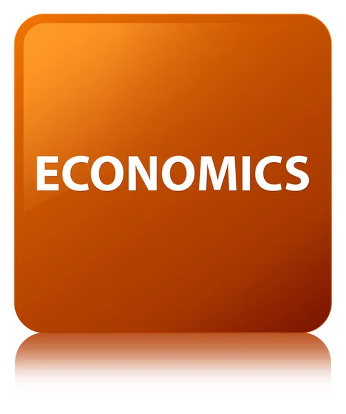 Nationalekonomi brun fyrkantiga knappen — Stockfoto
