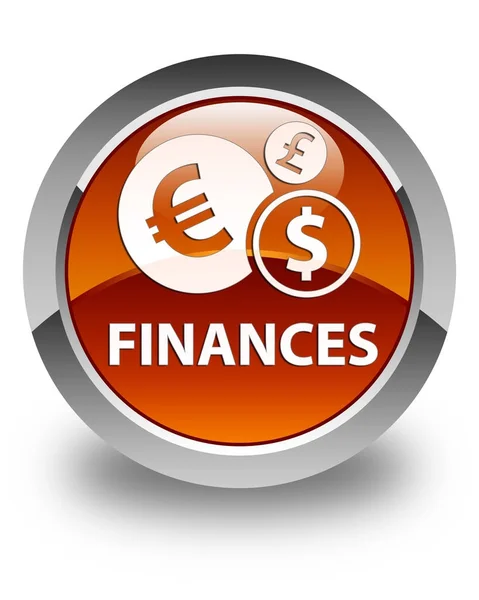Finances (euro sign) glossy brown round button — Stock Photo, Image