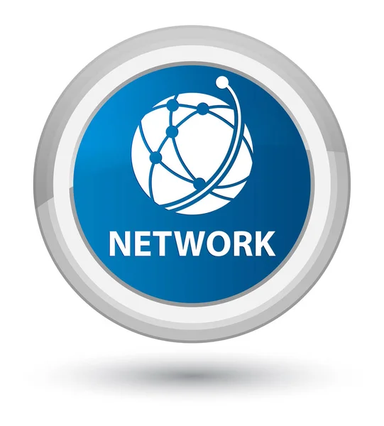 Rede (ícone de rede global) botão redondo azul principal — Fotografia de Stock