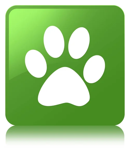 Animal Footprint Symbol weicher grüner quadratischer Knopf — Stockfoto