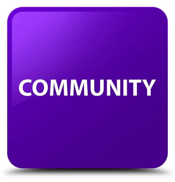 Community purple square button — Stock Photo, Image