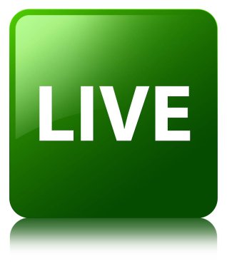 Canlı yeşil kare düğme